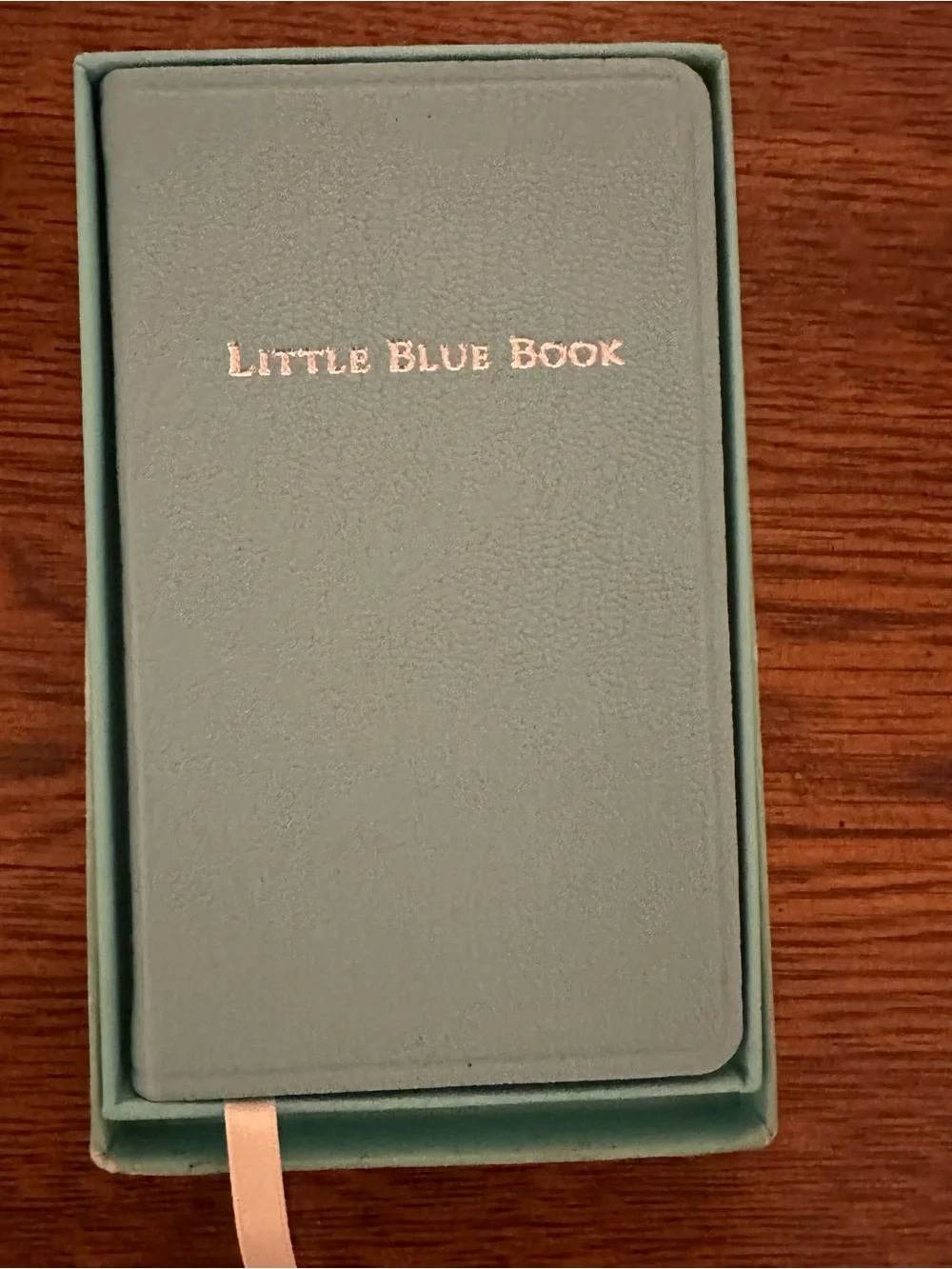 New Tiffany little blue Notebook